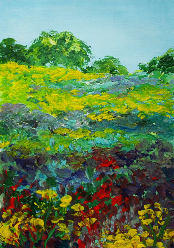 Поле