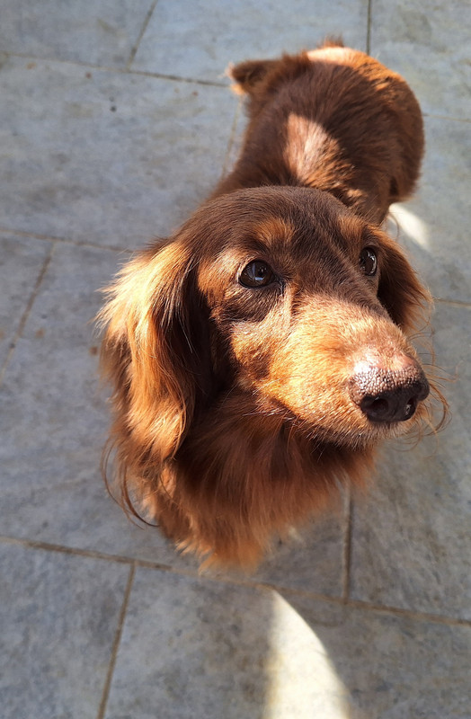 [Image: 20240308-095140.jpg]