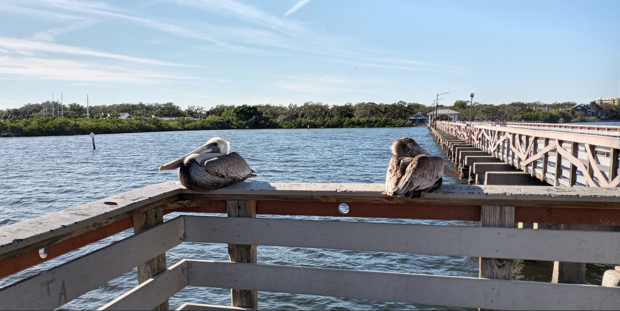 [Image: Ballast-Point-Park-Tampa-FL5.png]