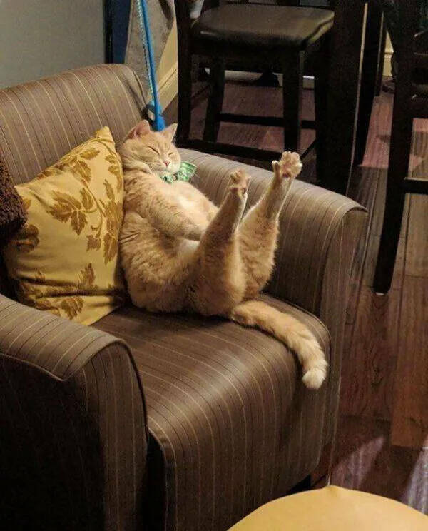 daily-ccpicdump-32.jpg
