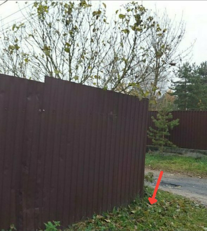 Screenshot_20251022-235203_Vanilla Music