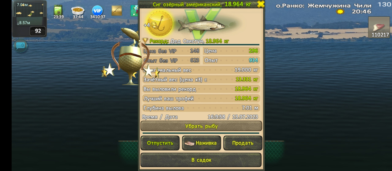 Сиг озёрный американский