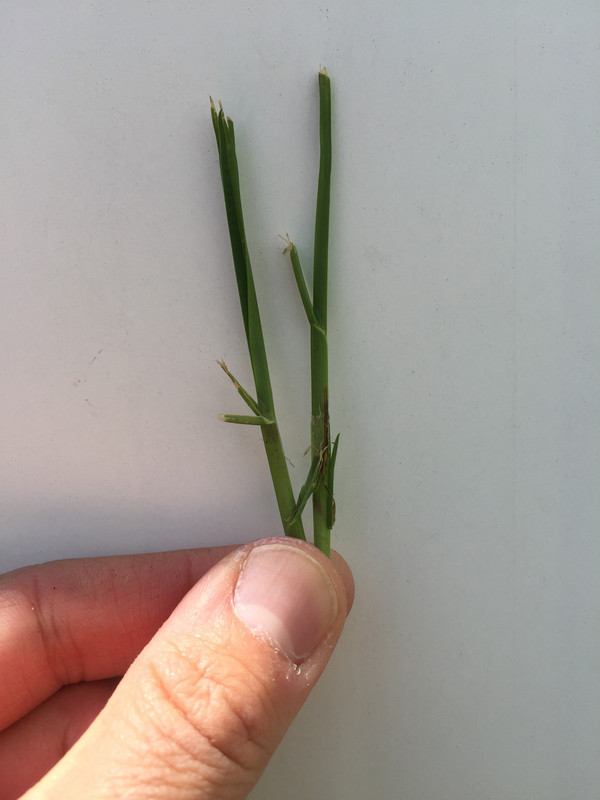 8C8A22FC-7675-4901-BEDC-14A742F0D9CF