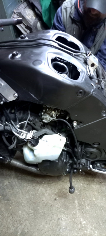IMG-20240916-201222.jpg