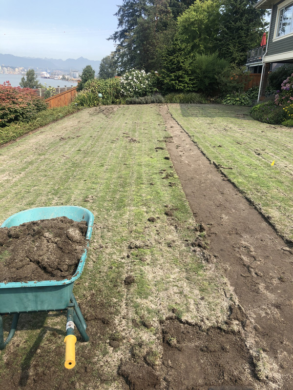 F3B31C14-2F1B-4575-B234-66D9FA734997