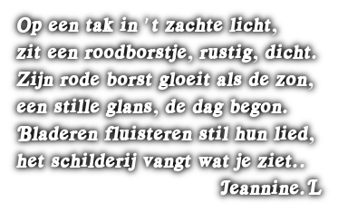 cooltext502793950254886