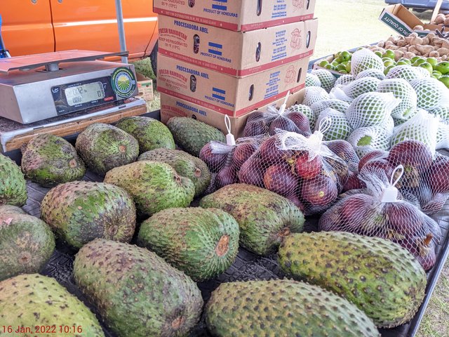 [Image: PXL-20220116-151624058.jpg]