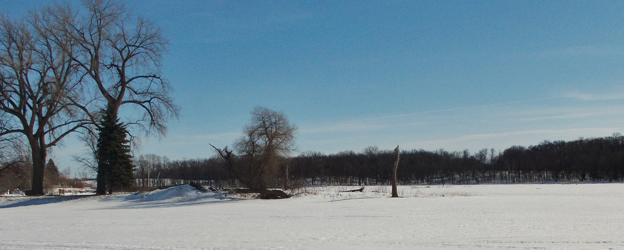 DSCN0577