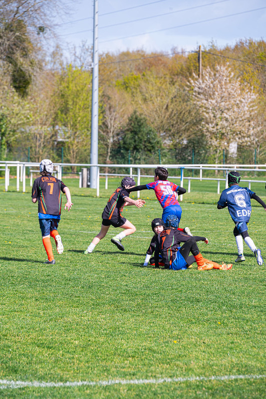 tournoi-de-latlantique-2026-adonis-griffon-164-55180398982-l