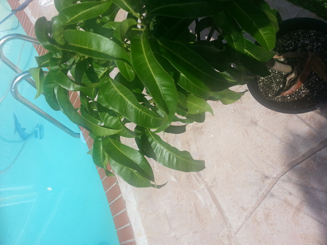 20140729_101455