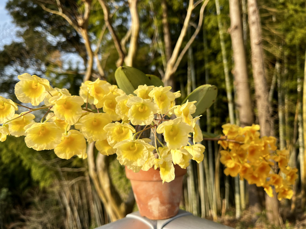 41027003-CC84-40DE-AEA2-F8B6ECAE9FF0