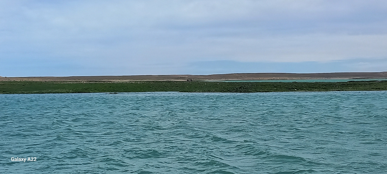 [Imagen: 20251211_150612.jpg]