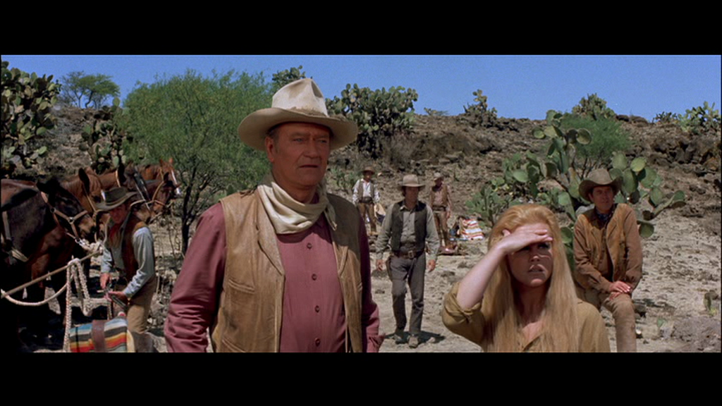 vlcsnap-2018-02-18-22h14m22s612