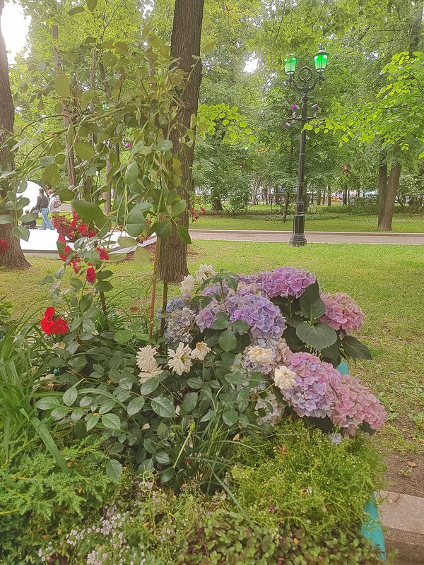 https://i.postimg.cc/SKDpcZ5H/09-IMG-20250611-151012.jpg