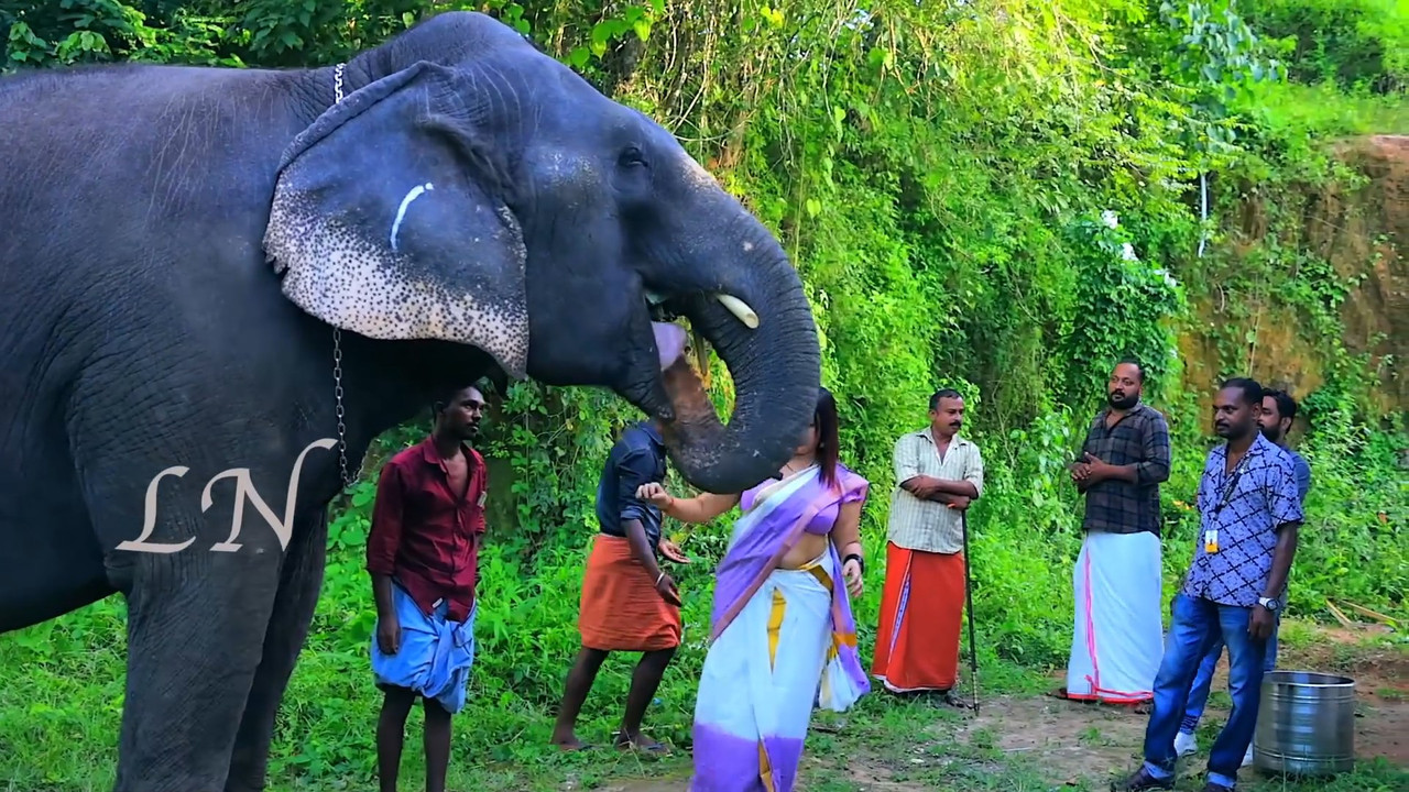 Lekshmi Nair Huge round breast and Navel in set saree.mp4_snapshot_02.36.020