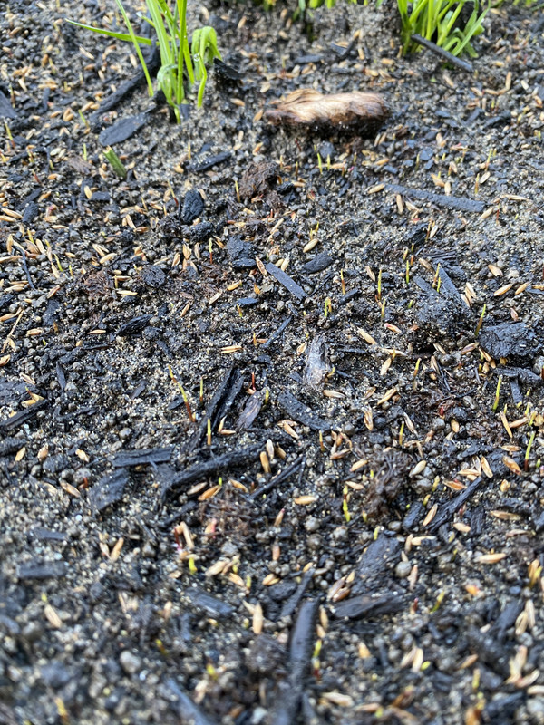 37EB96D3-1797-43D4-9F37-5A3DE10AA66A