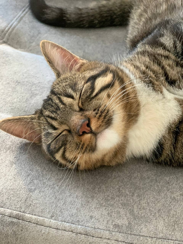 2462AD83-1378-4EE9-BBAE-AB2BBBFCF0AD