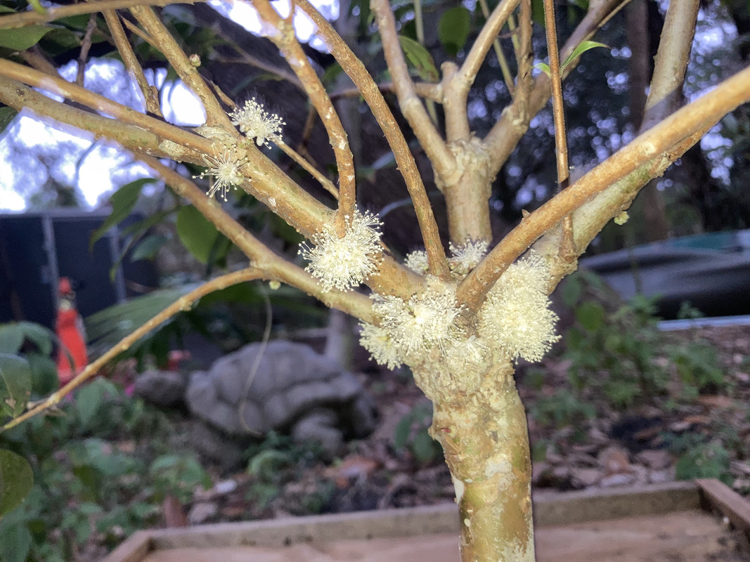 F4252CCF-590F-4FC0-9FF9-6D42F0FFC901