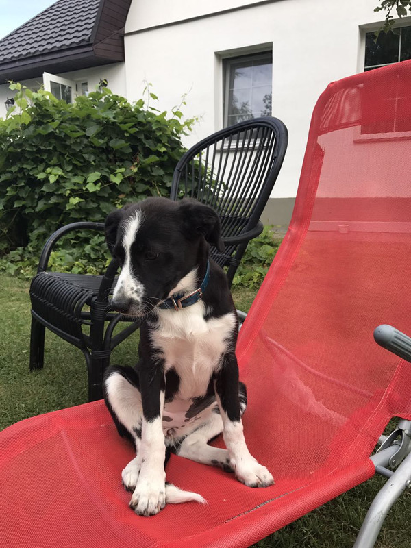 IMG-41ef43b5c5a5aa9715c83ade1732353f-V