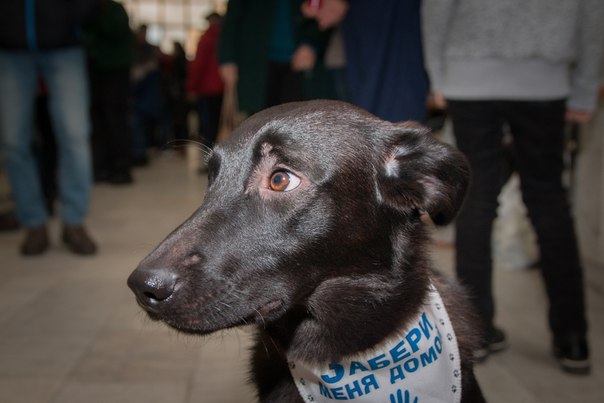 BC631FB7-3F08-4A6E-A99F-C19DC3555539