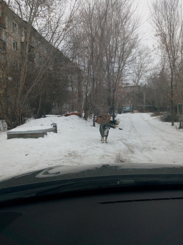 IMG_20191207_125117657