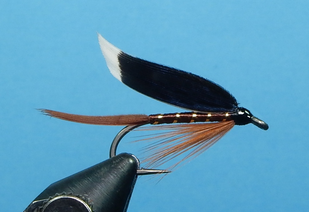 Magpie-Bergman-1080.jpg