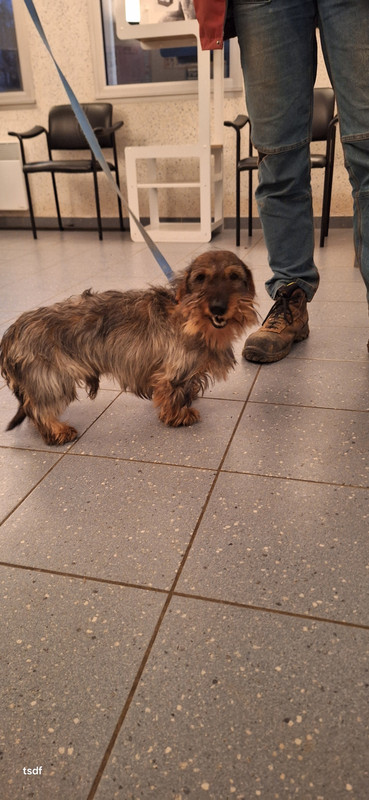 [Image: 20250117-174831.jpg]