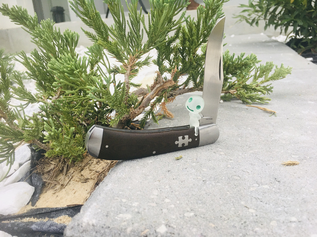 E534D1CF-FDE1-4B31-BF31-66C6B8395366