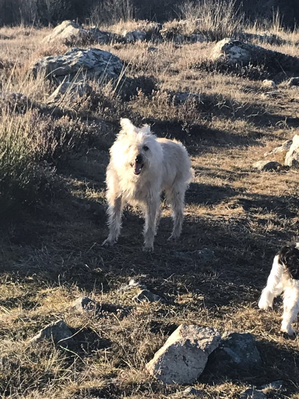 B425122E-5FA6-4DF7-86A8-67F56BB634BD