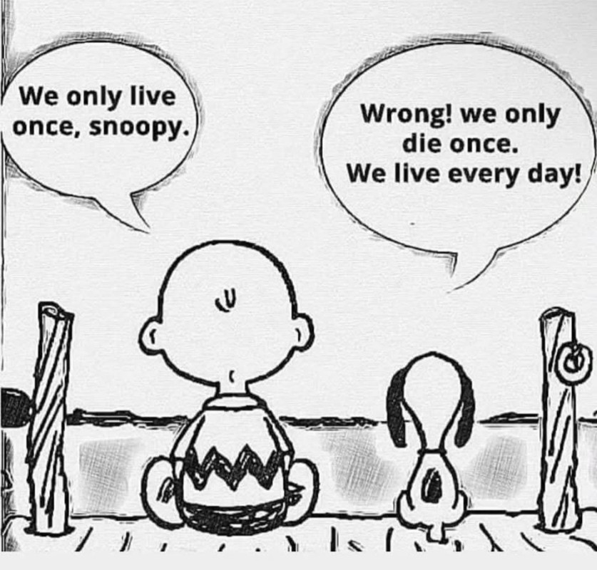 Screenshot_20250111_204033_Facebook