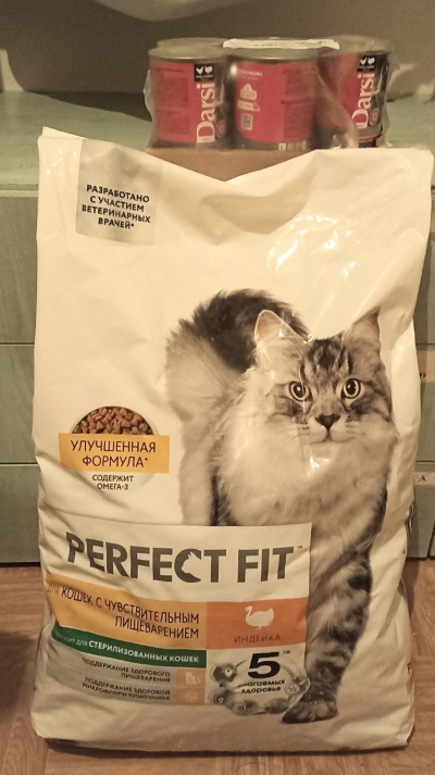 ������ ������ ��� ��������