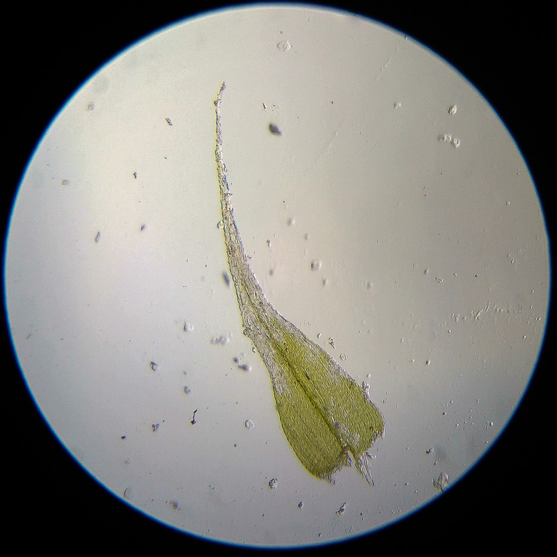 IMG 20250614 122724 HDR