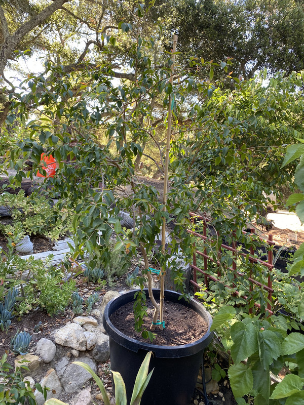 48080963-86B7-4028-BC51-0F98D5A8C49C