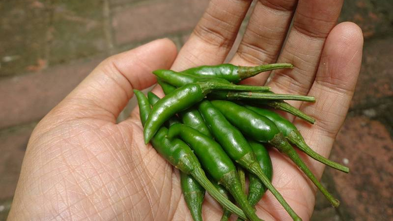 Manfaat Cabai Hijau Bumbu Dapur yang Bikin Kulit Glowing