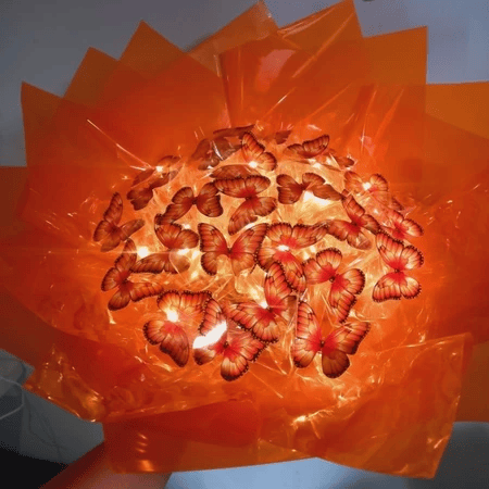 Laranja