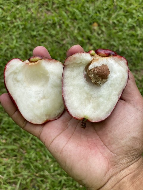 413F2F4C-A29B-49D5-9B8A-F35F092A4F2E