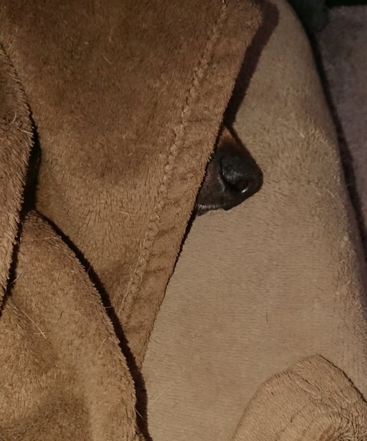 [Image: 20231221-144941.jpg]