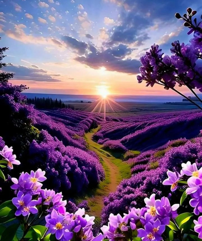 Screenshot_20240505_222237_Threads