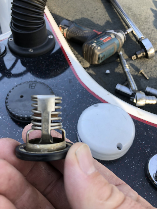 8054B1D7-D2F8-4AB9-AF87-C904CA432FE2