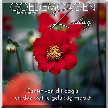 90.jpg