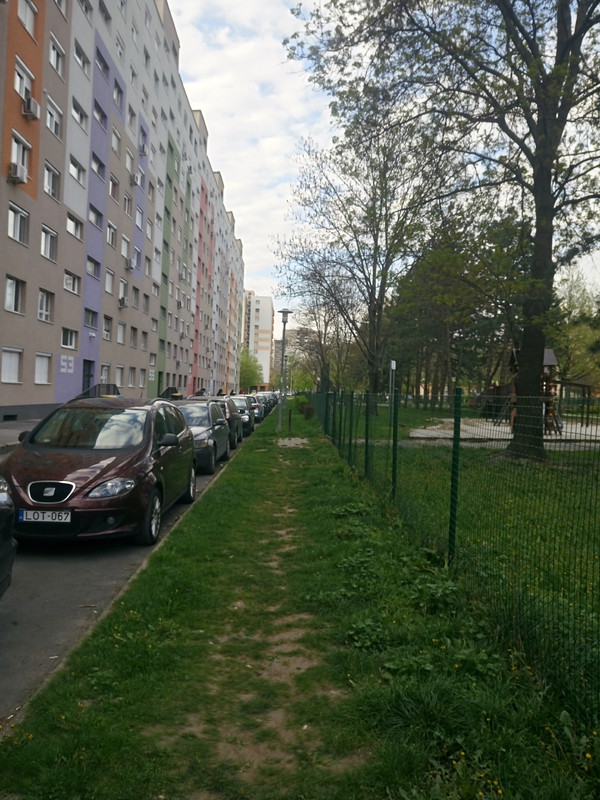 Kép