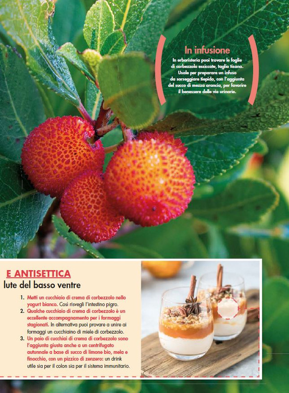 Alim Nat Nov 2021 (12)