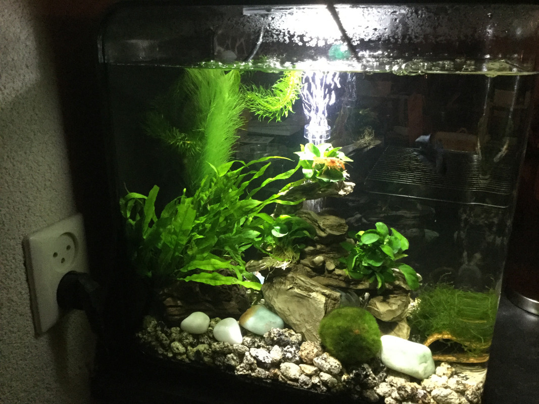 44FEAFCD-67A2-4D5B-A1C0-5540274B46D8