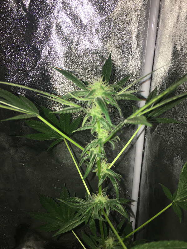 2B7D50EF-2A51-4C3A-9816-0908E6876498