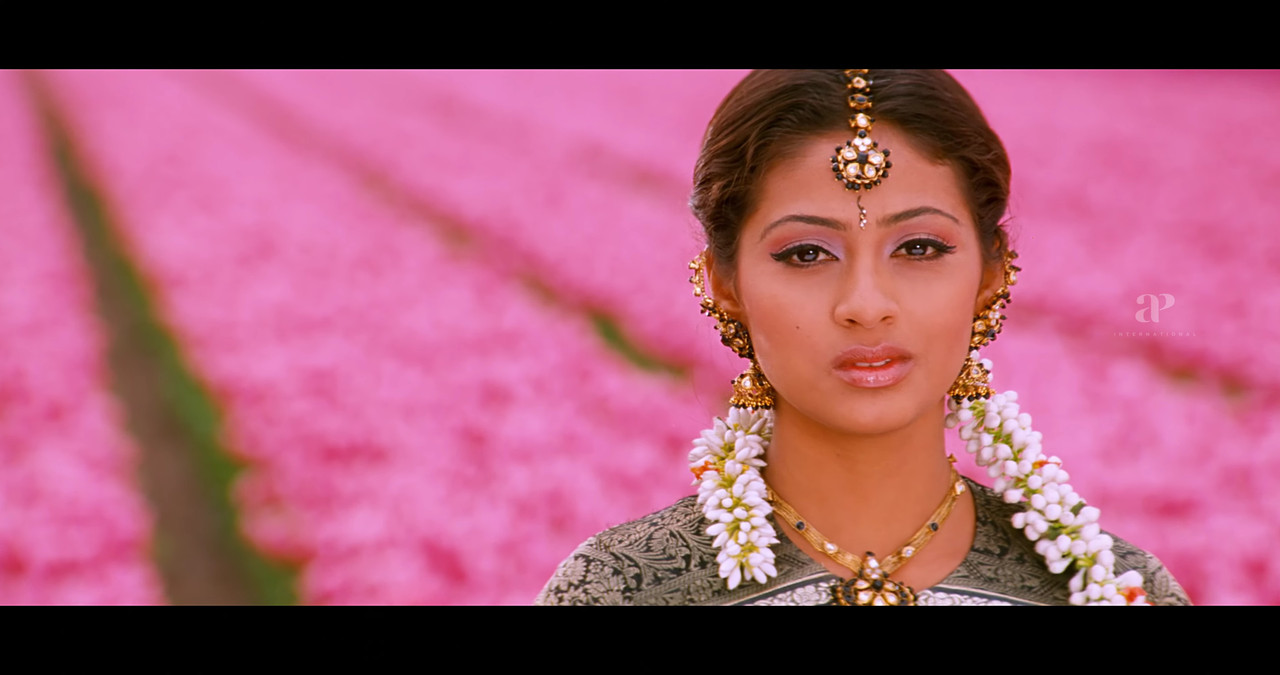 VideoCapture_20241122-200736