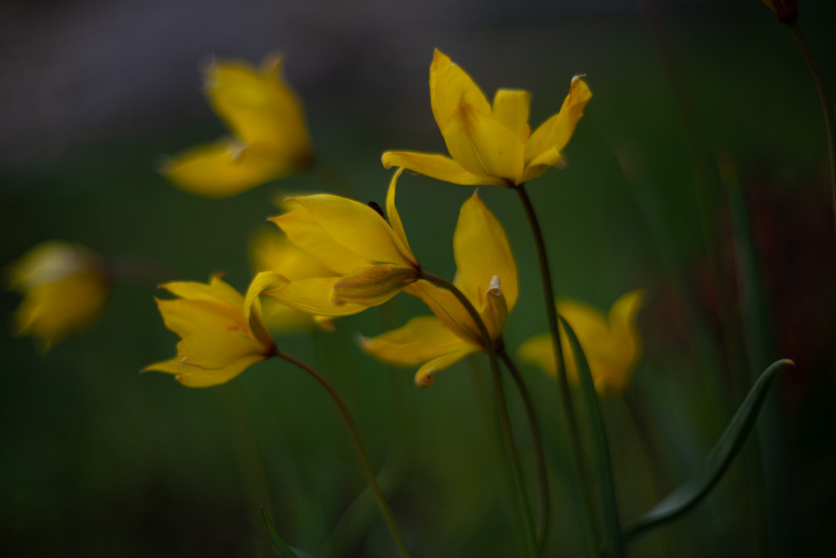 IMG-40113c8b59341498fdc05e413fdfa7ee-V