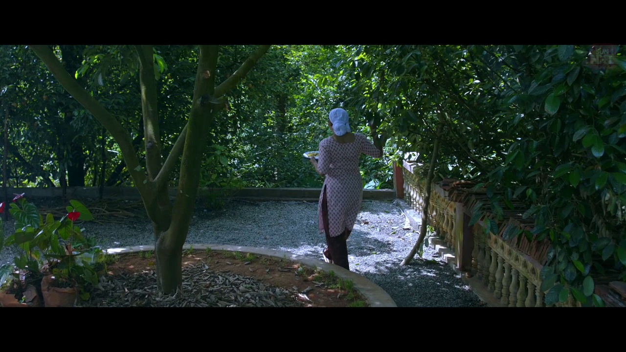 vlcsnap 2026 02 11 15h45m06s029