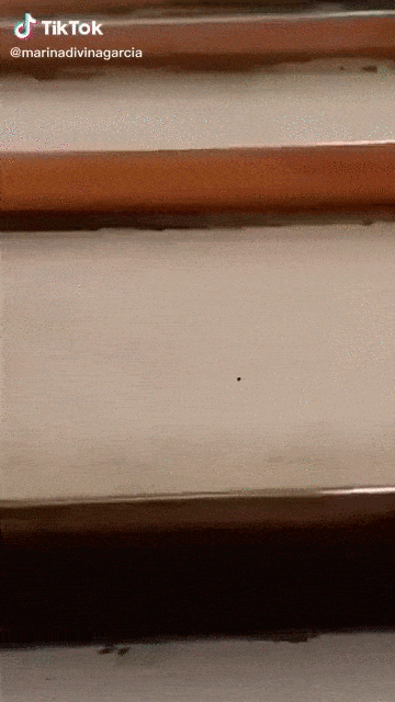 Marina Reina García Gif TikTok High Platform Heels on the stairs