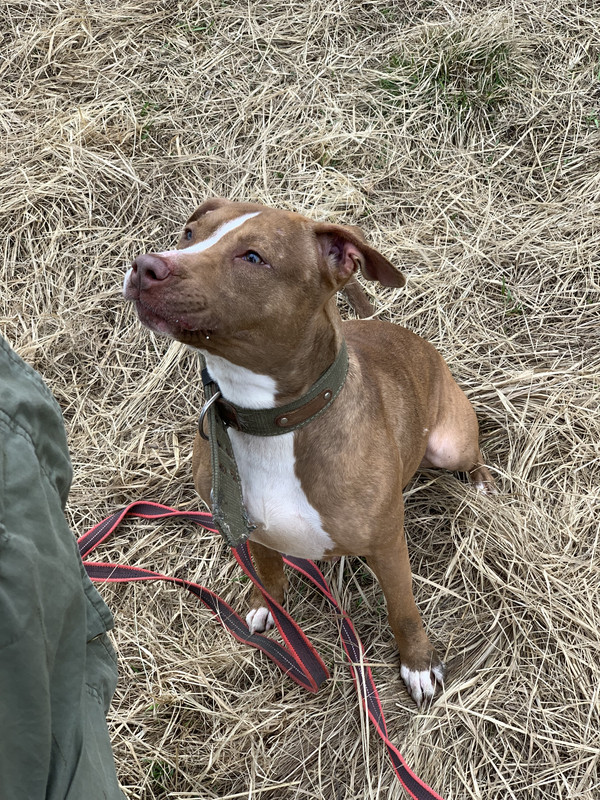 image-09-04-23-05-39-1 (1)