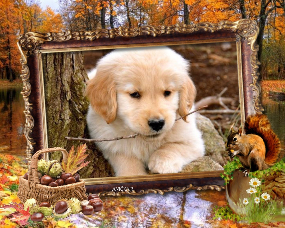 imikimi zo photo (6)